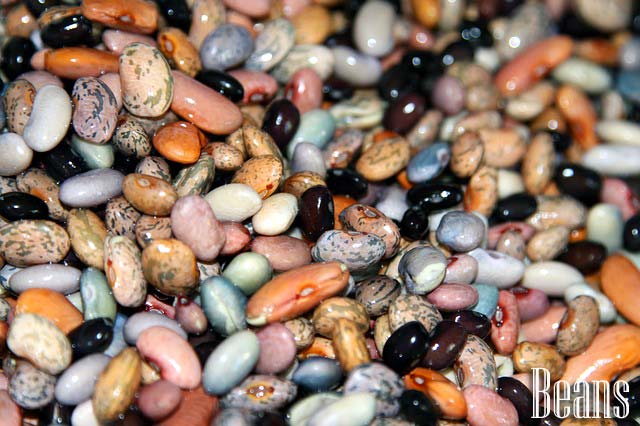 Beans