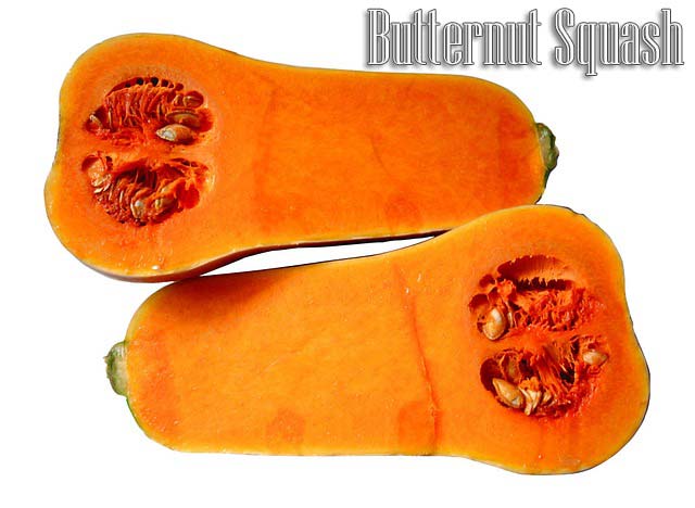 Butternut Squash