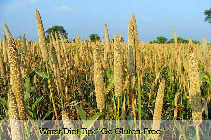 go gluten free go gluten free