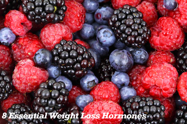 8 Essential Weight Loss Hormones