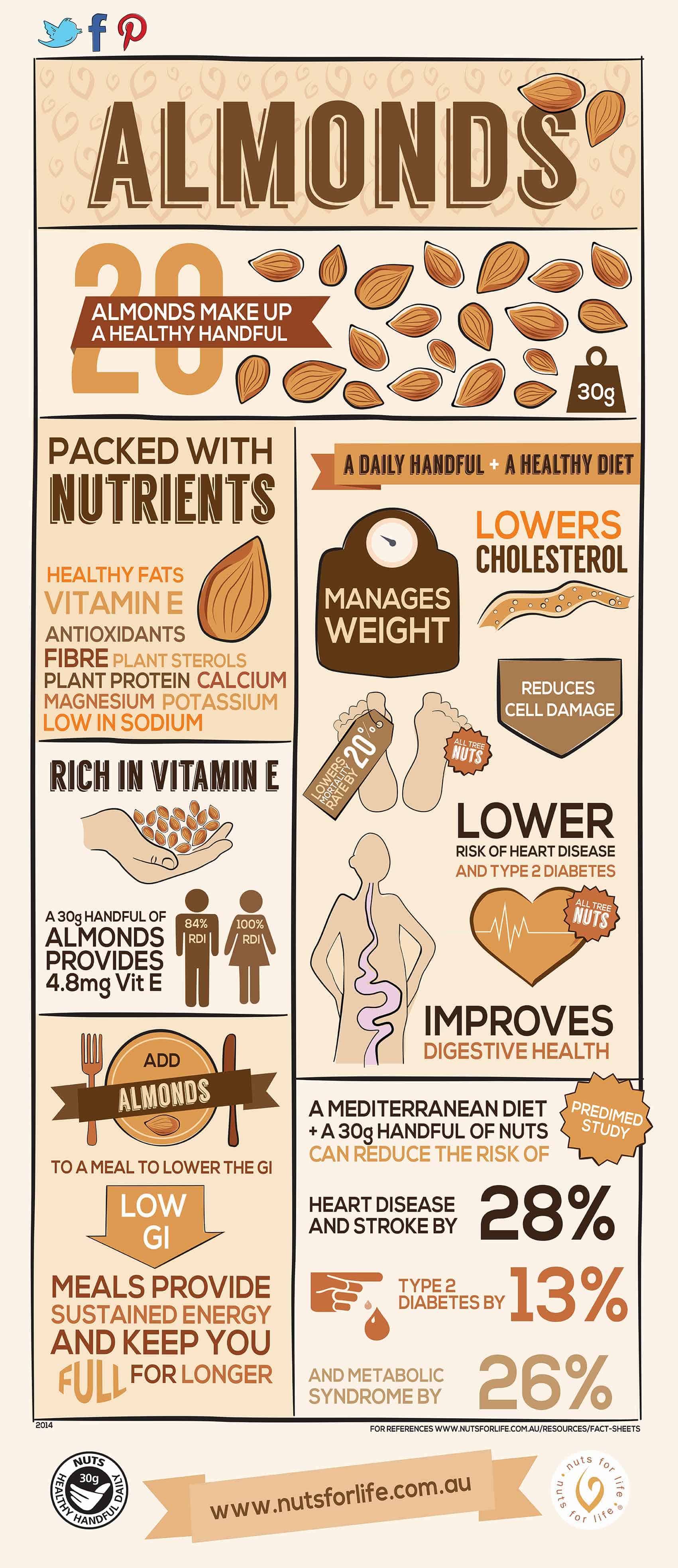 Almonds Infographics