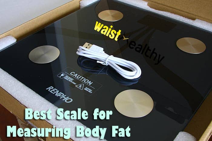 Best Scales for Measuring Body Fat