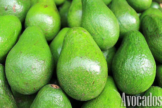 Avocados