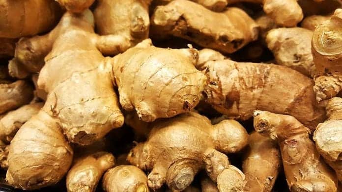 Ginger