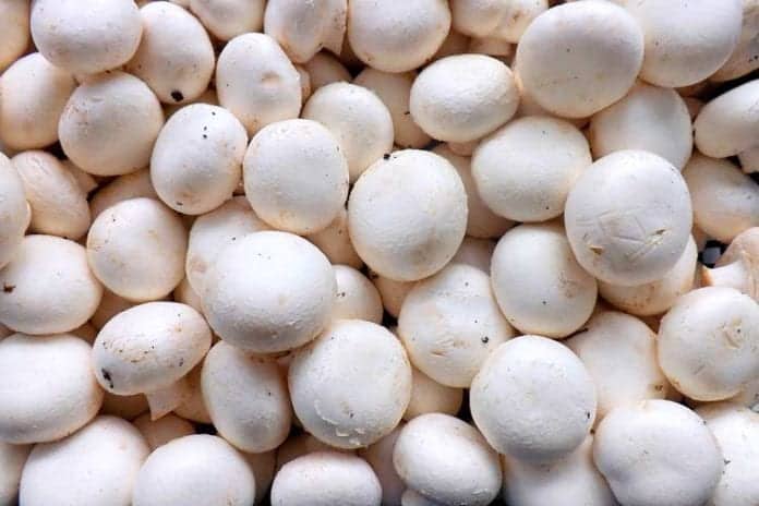 Mushrooms