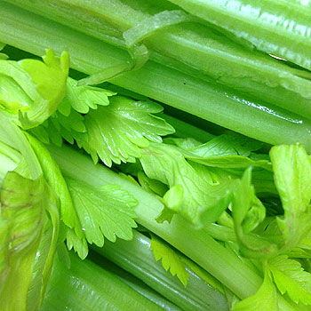 celery