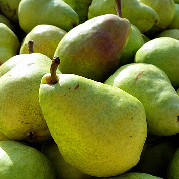 Pears