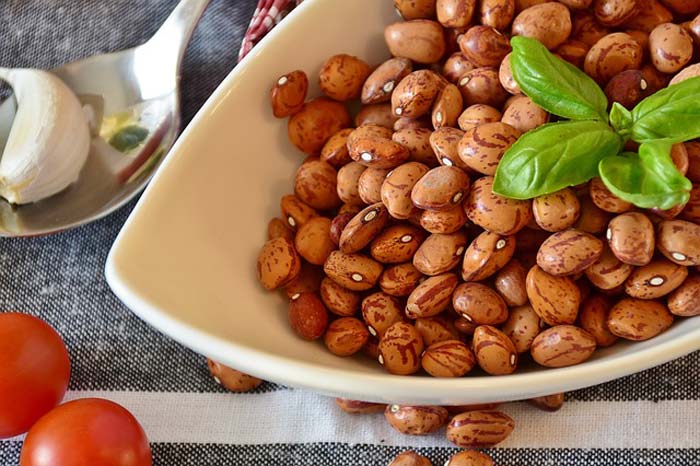 Top Vegetarian Protein Sources
