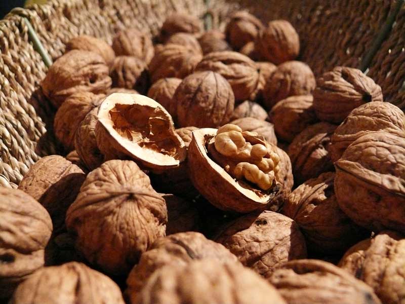 walnuts